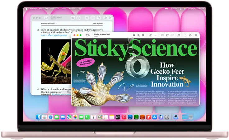 MacBook Neo, колір рум'ян, екран показує статтю про біомімікрію та вікторину на схожу тему