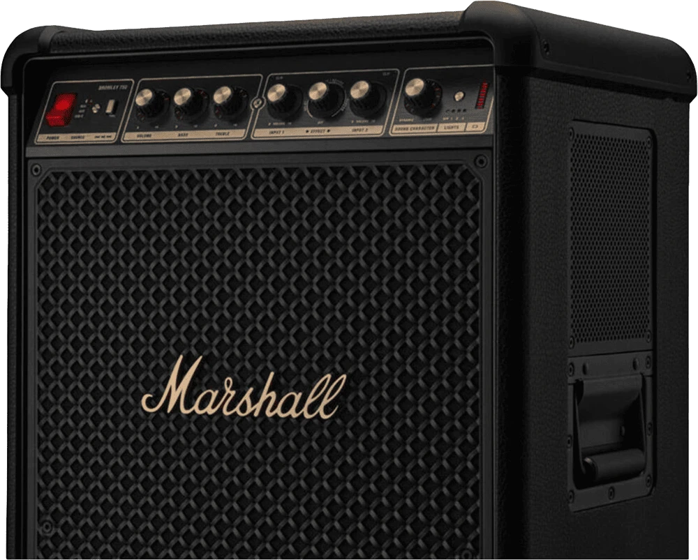 Вид з близька