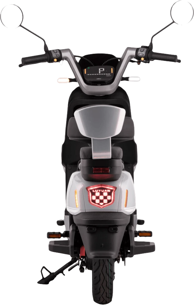 Електроскутер 2E FY70, (Сірий) 800 Wh вид задній план