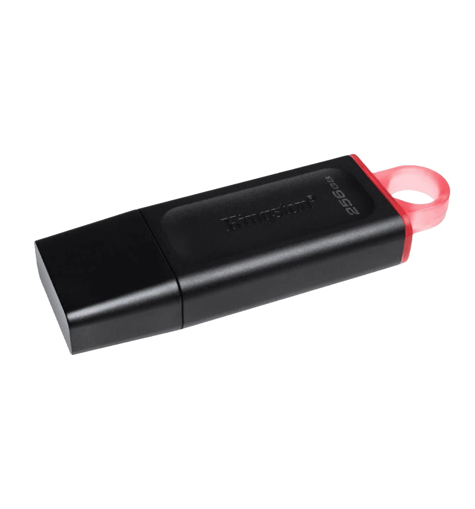 Флеш пам'ять USB 3.2 Gen1 DataTraveler Exodia (Bla ck + Pink) DTX/256GB головне