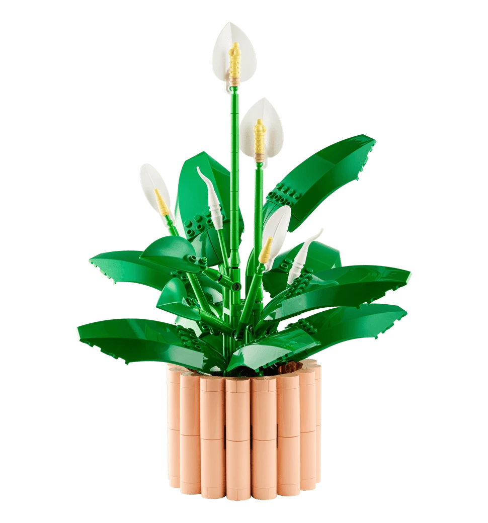 Конструктор LEGO Botanicals Спатифілум передній вид
