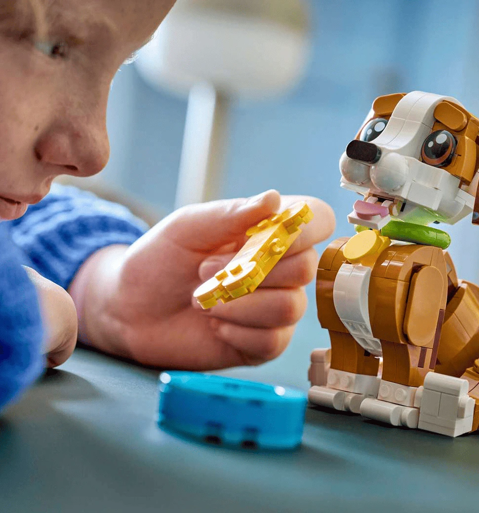 Фото прикладу гри з конструктором