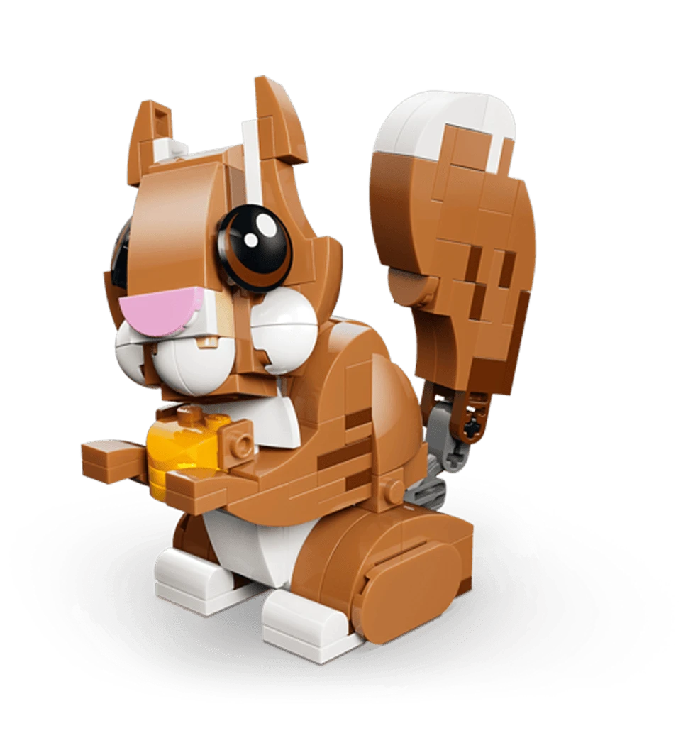 Фото грайливої білки