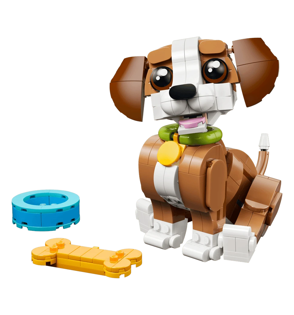 Фото грайливого цуценяти