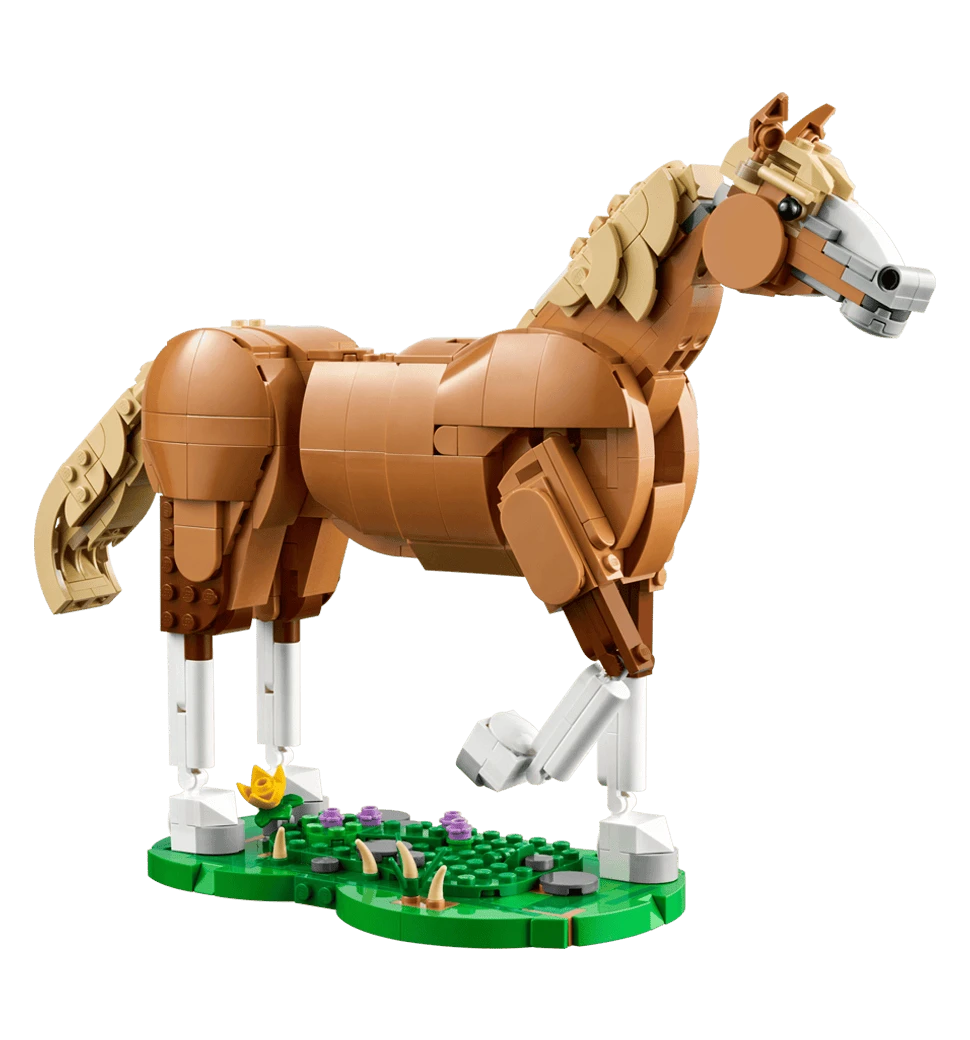 Фото прекрасного коня