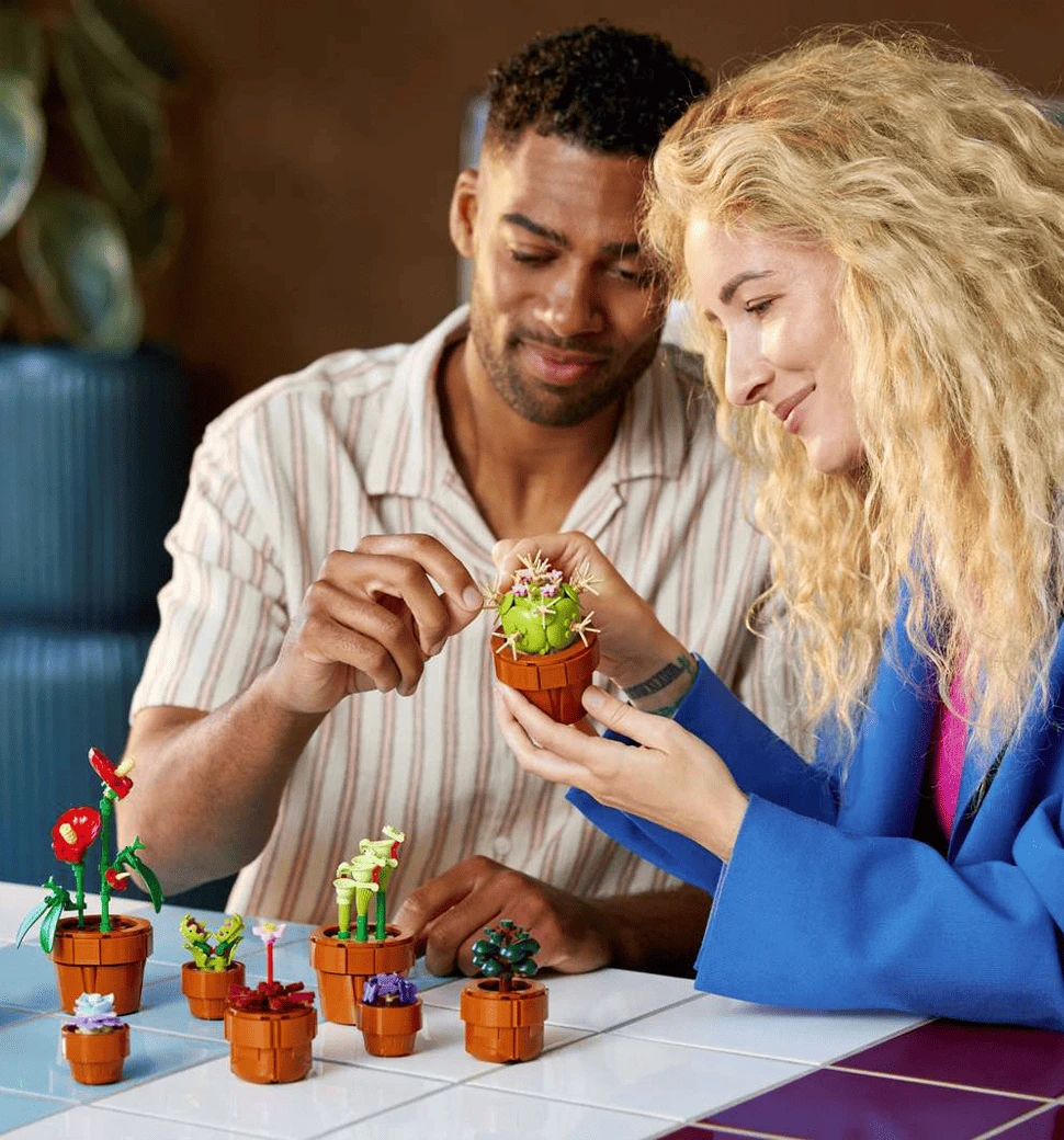 Фото прикладу гри з конструктором