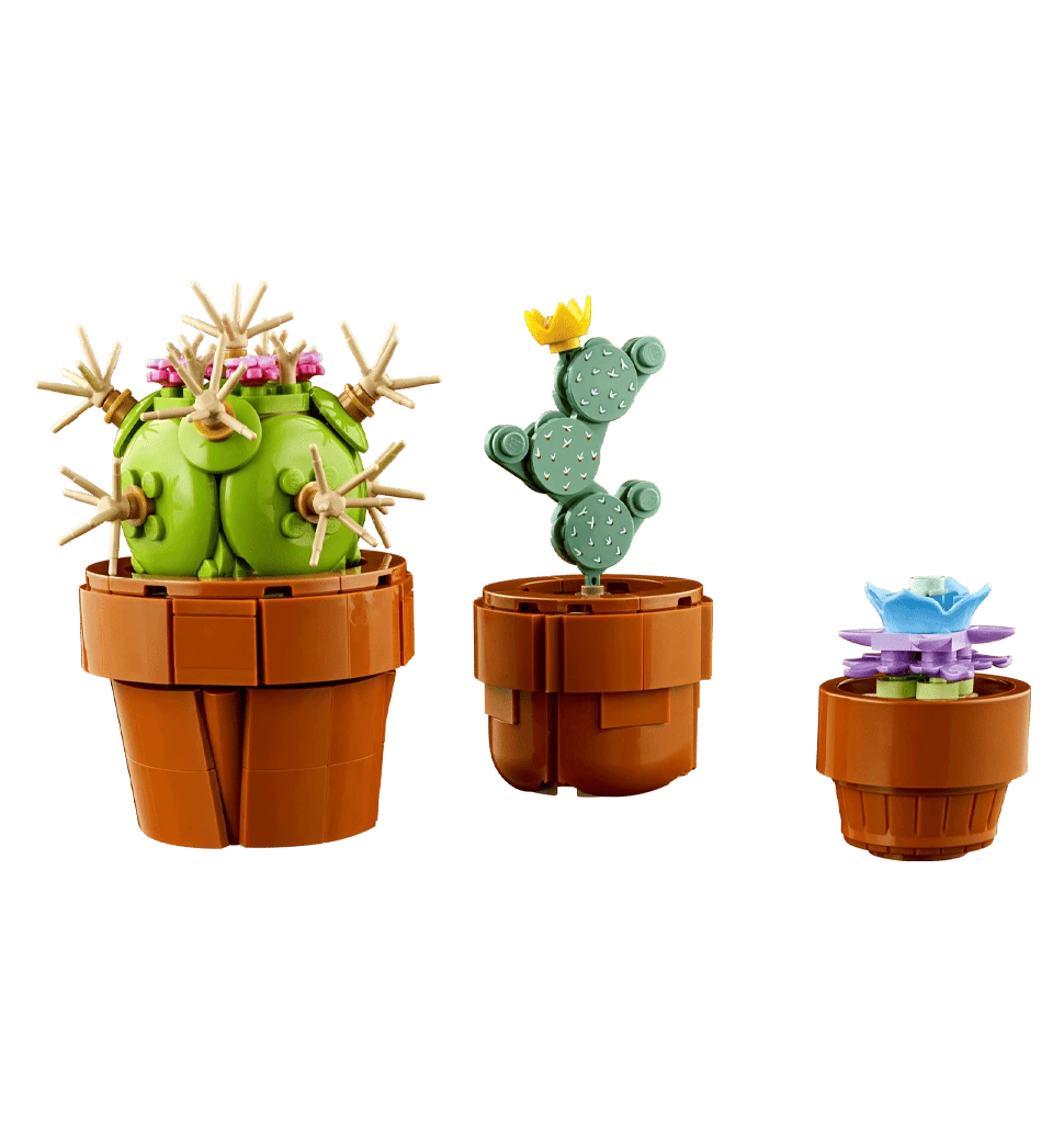 Фото квітів зблизька