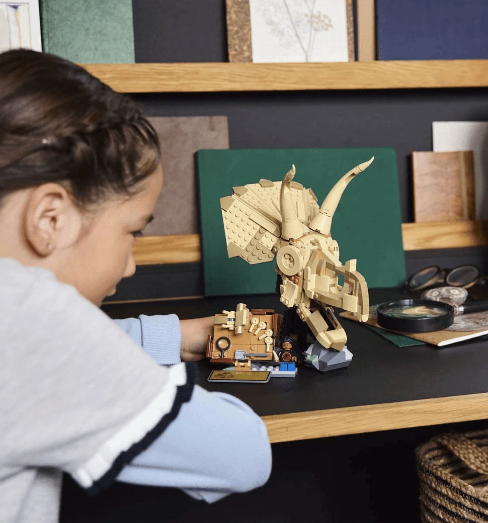 Фото прикладу гри з конструктором