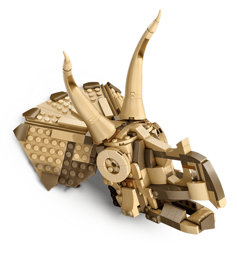 Фото з близька