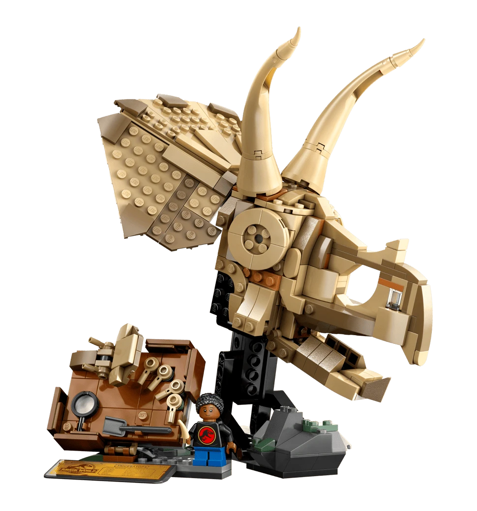 Фото зібраного конструктора