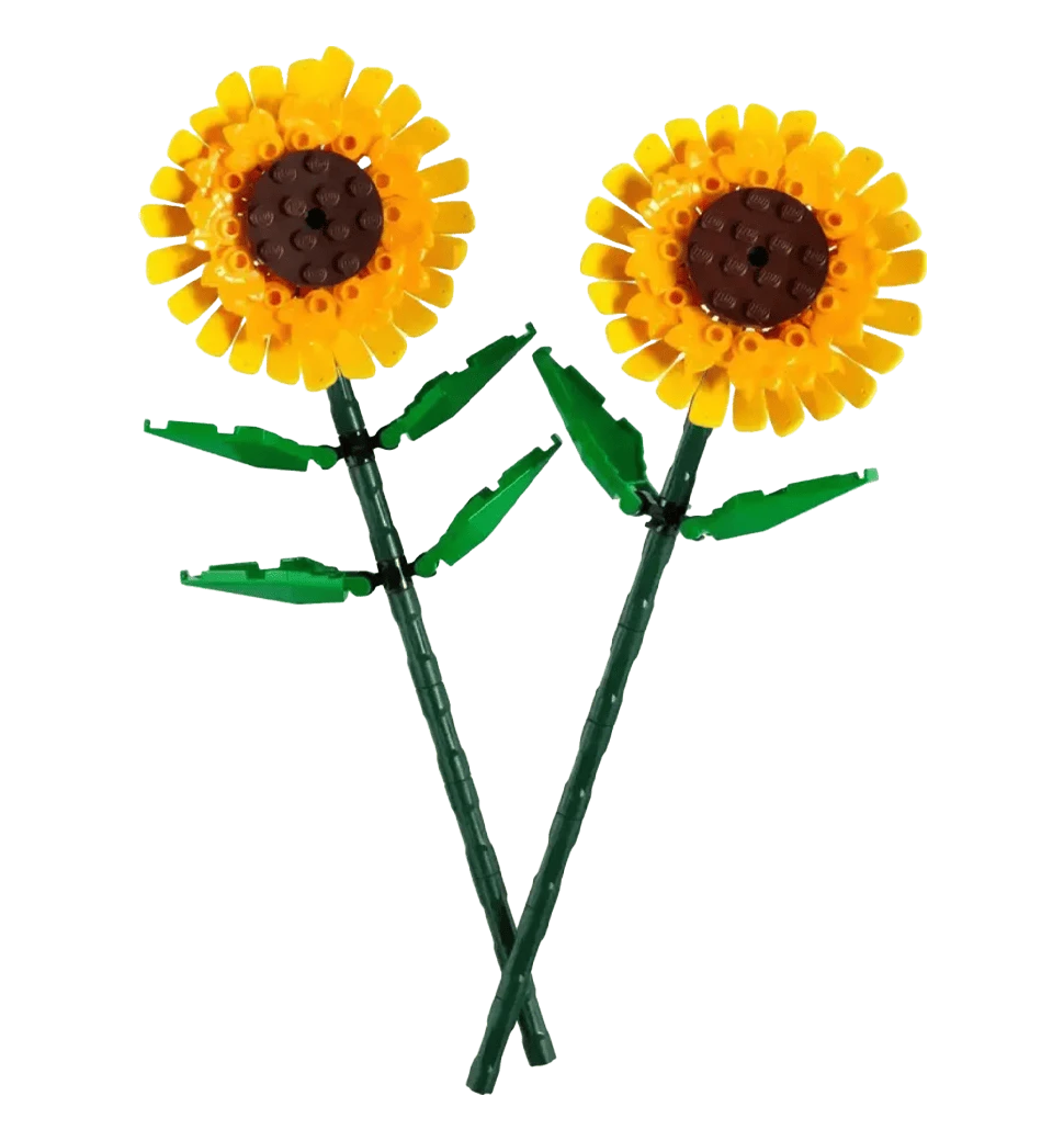 Фото зібраного конструктора