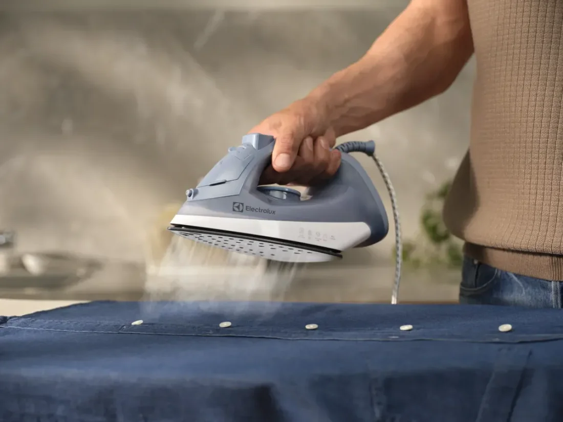 Праска Electrolux E3SI1-2LG 9