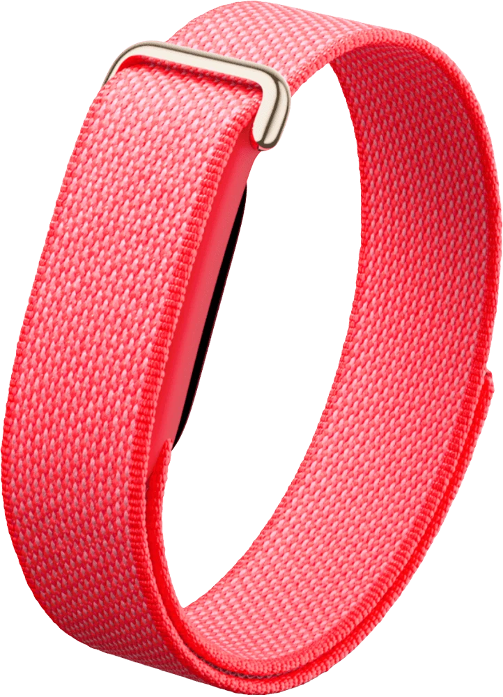 Смарт-браслет Google Fitbit Air Berry головне фото