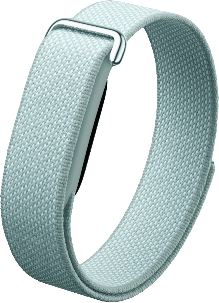 Смарт-браслет Google Fitbit Air Fog головне фото